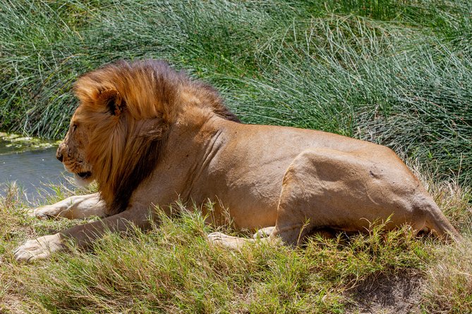 4 Days Tarangire , Ngorongoro ,Manyara and lake Eyasi village - Four days, four very different sides of northern Tanzania