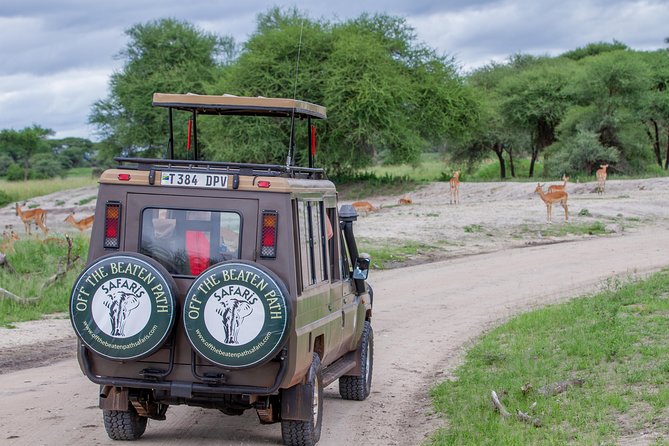 4 Days Tarangire , Ngorongoro ,Manyara and lake Eyasi village - Day 4: Lake Eyasi and a direct cultural encounter