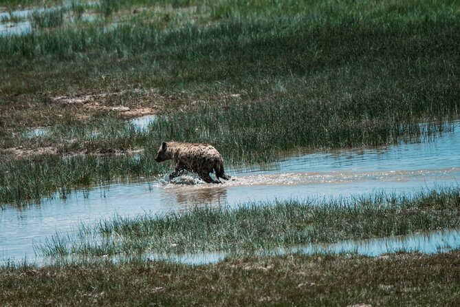 4 Days Tarangire, Serengeti and Ngorongoro Crater Camping Safari - Day 2: the long road to Serengeti