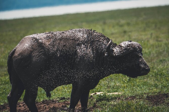 4 Days Tarangire, Serengeti and Ngorongoro Crater Camping Safari - The human side of the safari