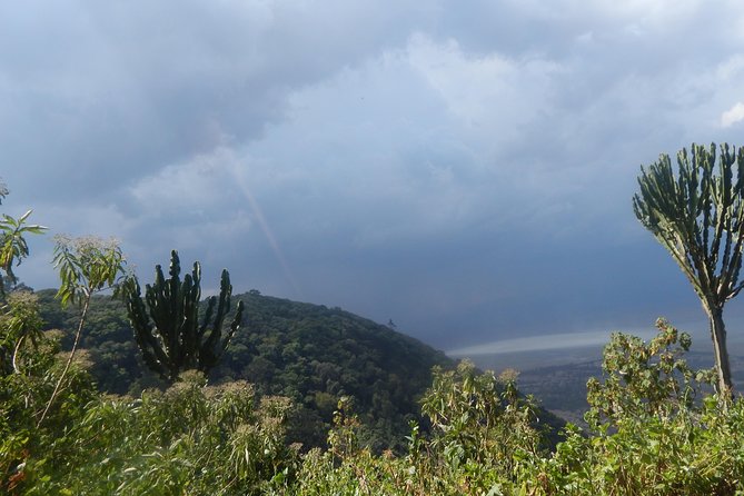 4 days Tarangire, Serengeti & Ngorongoro - Why the small group matters