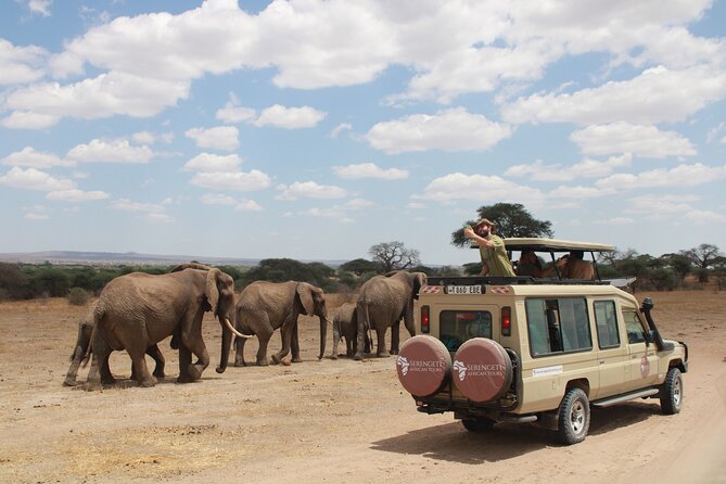 4 Days Tarangire Serengeti Ngorongoro Crater - The road to Serengeti through the Rift Valley