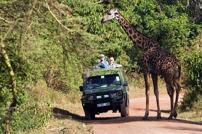 4 Days Tarangire Serengeti Ngorongoro Crater - The practical cost of the fast pace