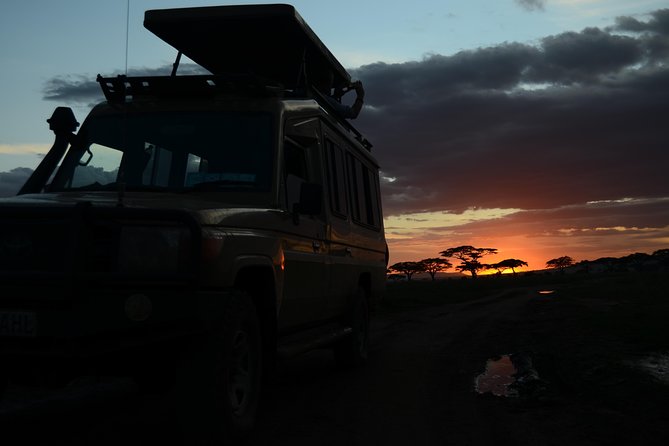 4 Days Tarangire ,Serengeti &Ngorongoro crater group Tour - What the guide adds to the experience