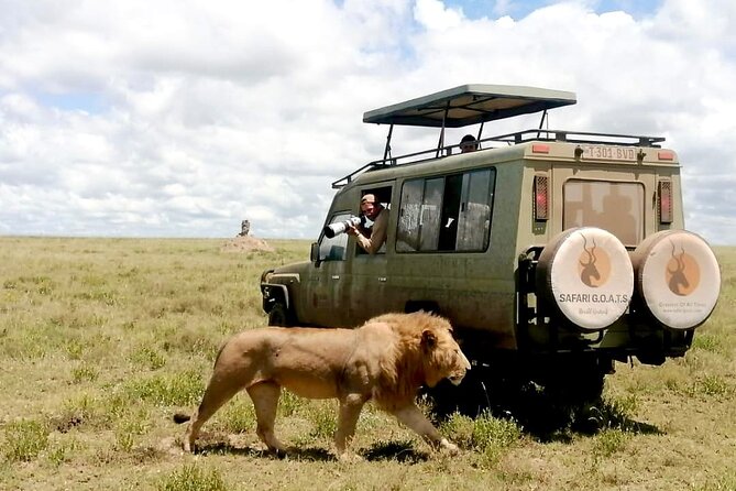 4 Days Tarangire, Serengeti & Ngorongoro Crater Joining Group - Who should choose this safari