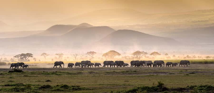 4 Days Tarangire, Serengeti, Ngorongoro Mid-range Safari - Key points to know before booking