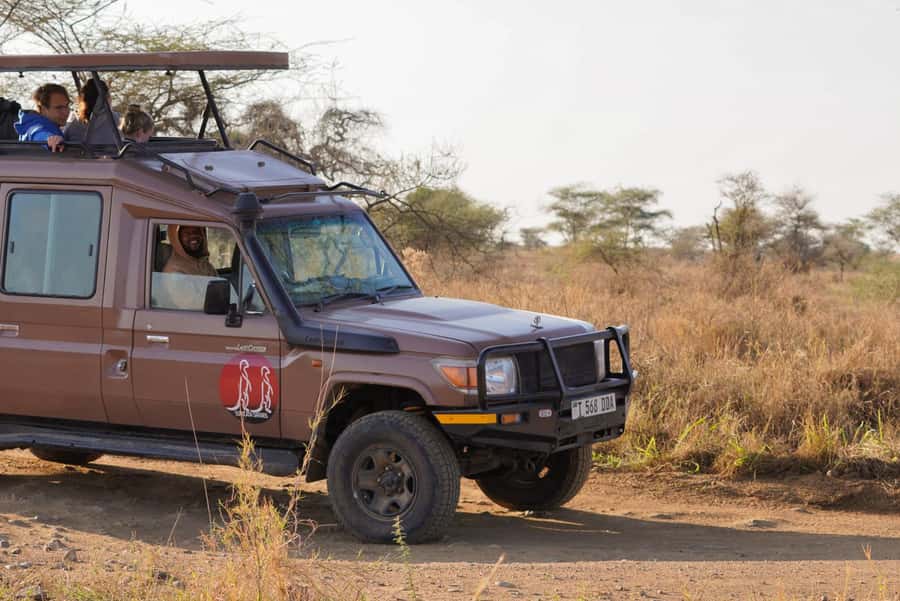 4 Days Tarangire, Serengeti, Ngorongoro Mid-range Safari - Day 3: Sunrise in Serengeti, then up to Karatu