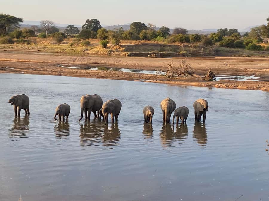 4 Days Tarangire, Serengeti, Ngorongoro Mid-range Safari - Lodges, tented camps, and the comfort level
