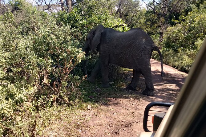 4-Days Tour to Tanzania National parks - Guides, food, and the human side of the trip