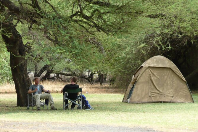 4 Days Wildlife Safari and Cultural Experience in Tanzania - Day 1: Tarangire and the elephant country