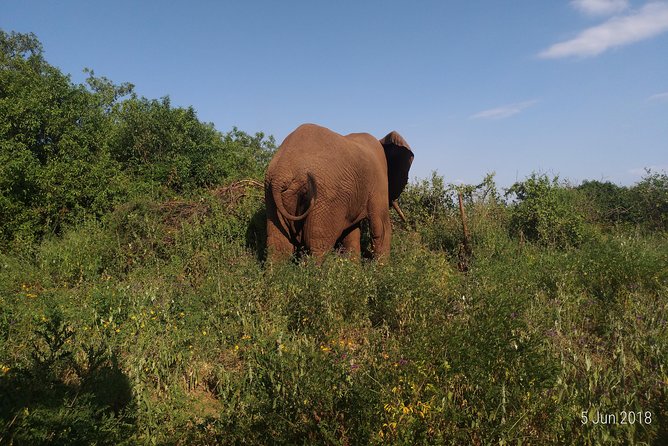 4day's Safari - Starting from Moshi or Arusha