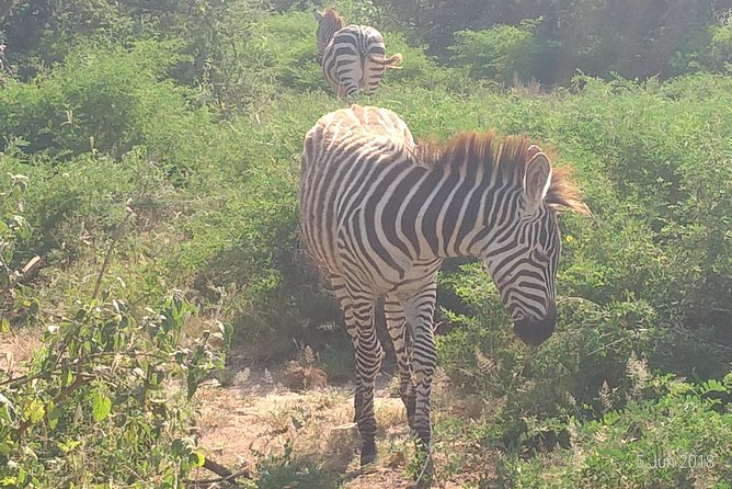 4day's Safari - Entering Tarangire National Park
