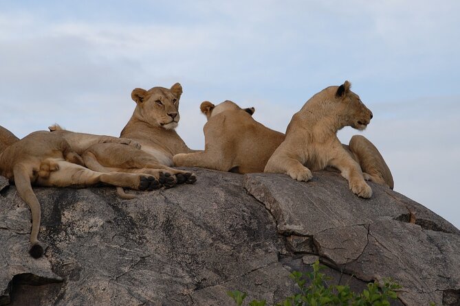 5 day 4 Nights Private Adventure Camping Norther Tanzania Safari - A fast route through Tanzania’s northern parks