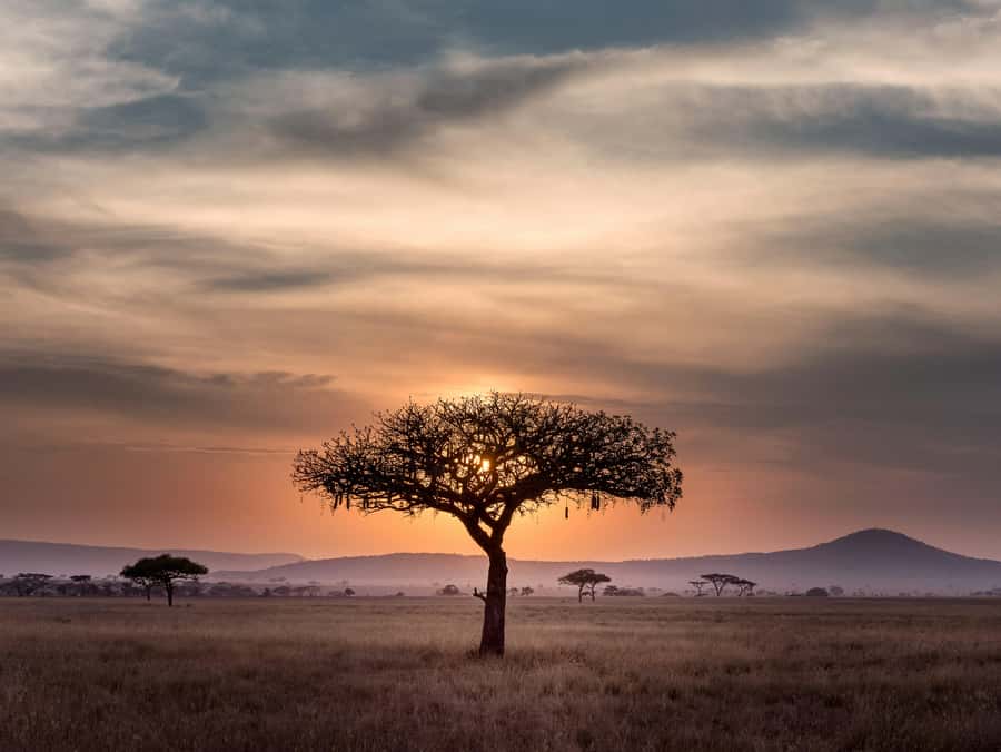 5-day Affordable Joint Group Safari (with Extra Activities) - Key points to know before booking