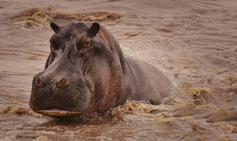 5-day Affordable Joint Group Safari (with Extra Activities) - A fast route through northern Tanzania