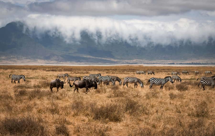 5-day Affordable Joint Group Safari (with Extra Activities) - What the camping really means