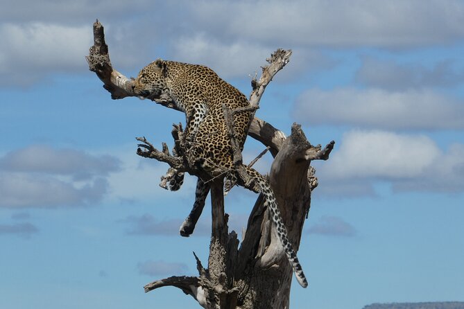 5-Day Group Tour Mid Range - Why this northern Tanzania route works
