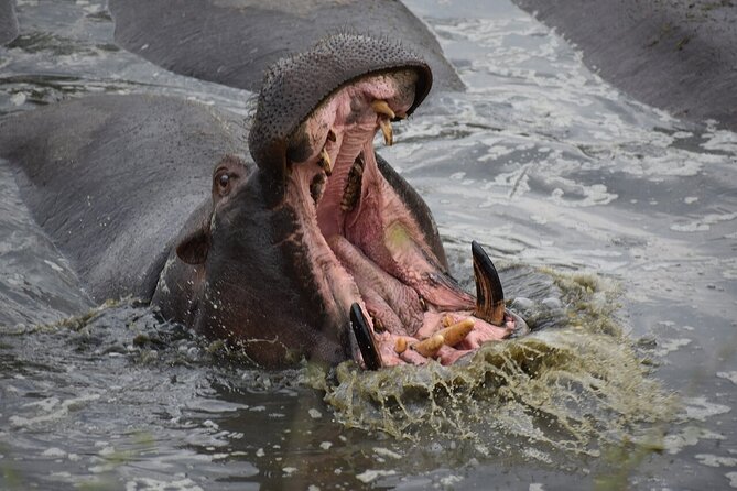 5-Day Highlights mid-Range Crater, Serengeti, Tarangire - Meals, lodging, and what the $2,327 covers