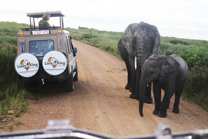 5-Day Highlights mid-Range Crater, Serengeti, Tarangire - Day one at Arusha Planet Lodge