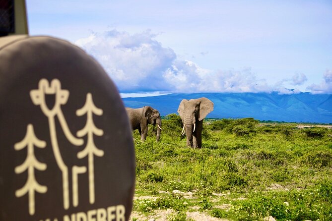 5-Day Mid-Range Safari in Tanzania - Day 4: Lake Manyara changes the scenery