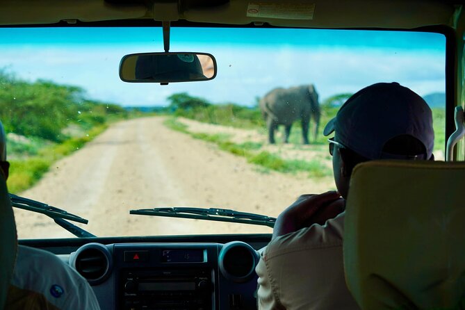 5-Day Mid-Range Safari in Tanzania - Meals, lodging, and what to confirm