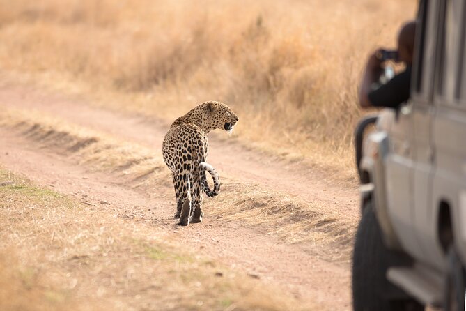 5-Day Private Camping Tour to Serengeti, Ngorongoro & Tarangire - A five-day safari with three very different parks