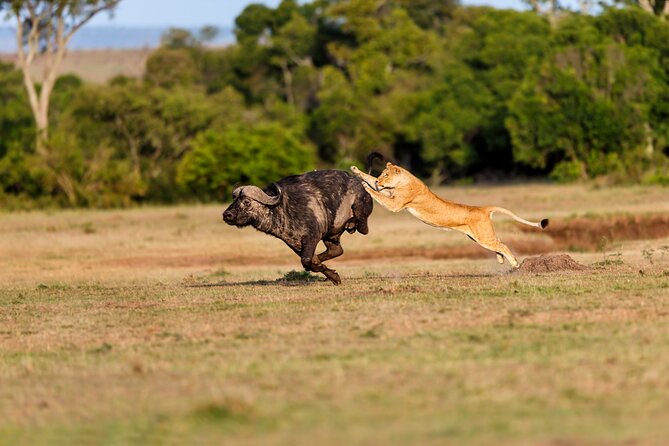 5-Day Private Camping Tour to Serengeti, Ngorongoro & Tarangire - What the private format really gives you