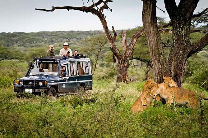 5 Day Private Guided Wildebeest Migration Tour - A fast route through Tanzania’s famous northern parks