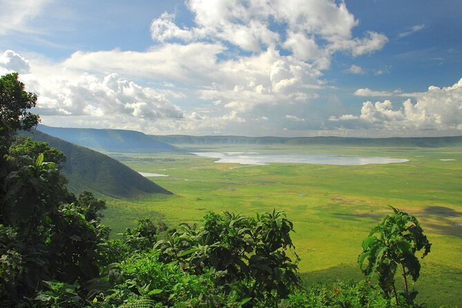 5 Day Private Guided Wildebeest Migration Tour - Day 5: Lake Manyara before returning to Arusha