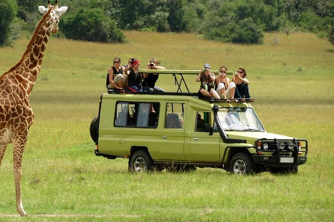 5 Day Private Guided Wildebeest Migration Tour - Day 2: Inside the Ngorongoro Crater