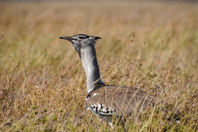 5-Day Private midrange Tour in Arusha with Airport Pickup - Key Details Before You Book
