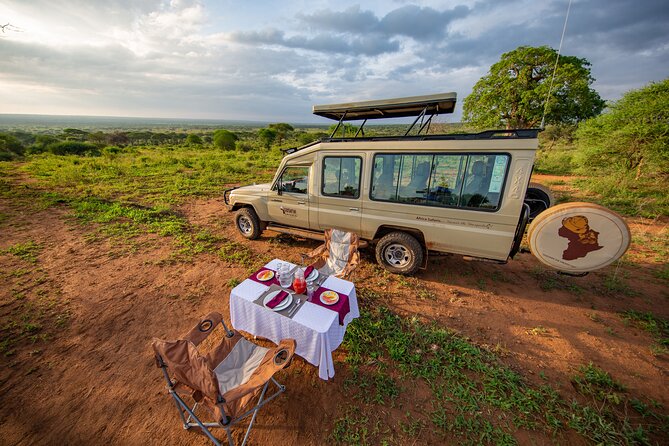 5-Day Private Northern Tanzania Safari from Arusha - Day 3: A full Serengeti day for predators and plains wildlife