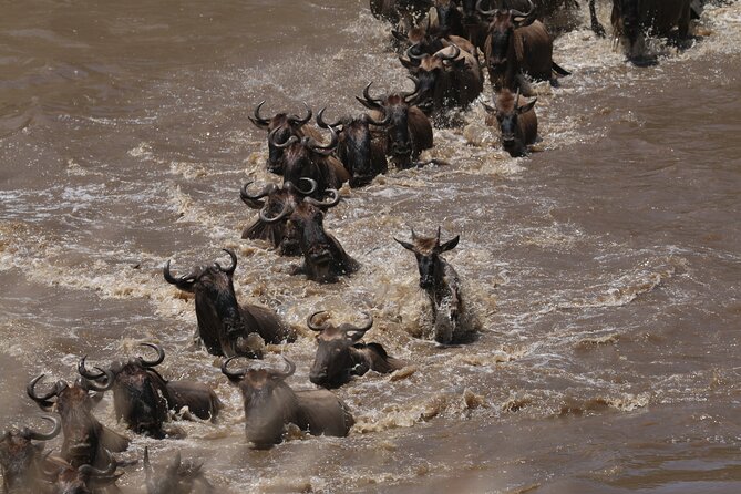 5-Day Private Northern Tanzania Safari from Arusha - Day 5: Ngorongoro Crater and the return to Arusha