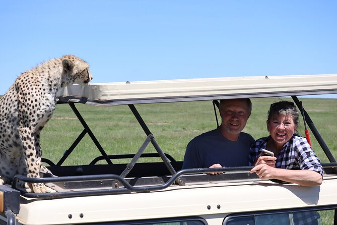 5-Day Private Safari in The Serengeti with Accommodation - Day 5: Elephants, baobabs, and Tarangire birds