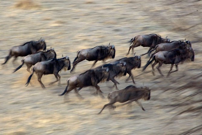 5-Day Private Safari Tour in Northern Tanzania - What the $2,500 price includes