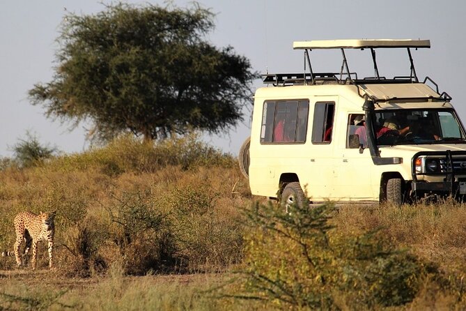 5-Day Private Safari Tour in Tanzania's Wildlife - Meals, lodges, and what the price really covers