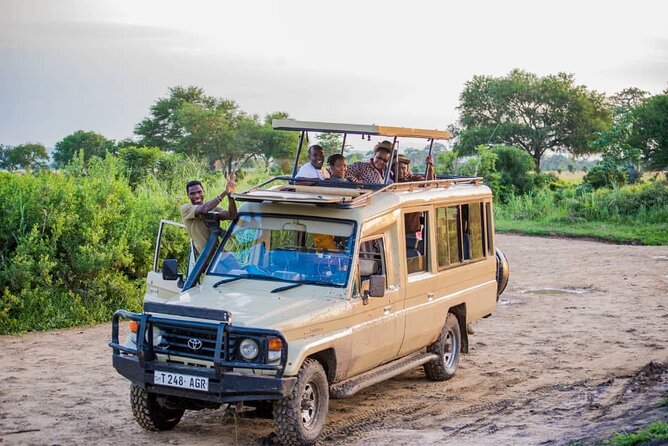 5-Day Private Tour in Mikumi National Park and Udzungwa Mountain - Day five: an early return to Dar es Salaam