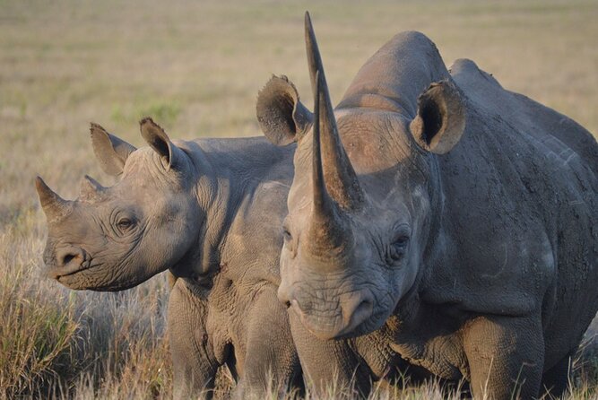 5 Day: Scenic Northern Circuit Safari - Day 2: The long road into the Serengeti