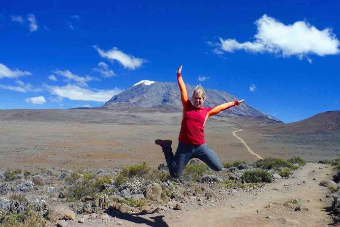 5 Days (4 Night) Marangu Route - Day 2: leaving the forest for the Shira Caldera