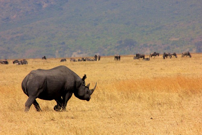 5 Days 4 Nights Tarangire, Serengeti , Ngorongoro & Manyara Wildlife Safari - Food and accommodation: confirm the standard