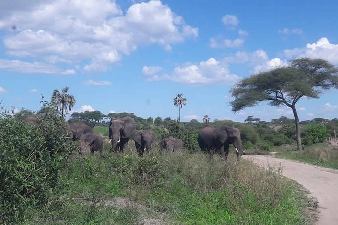 5 Days African Safaris - What the $2,588.15 Price Covers