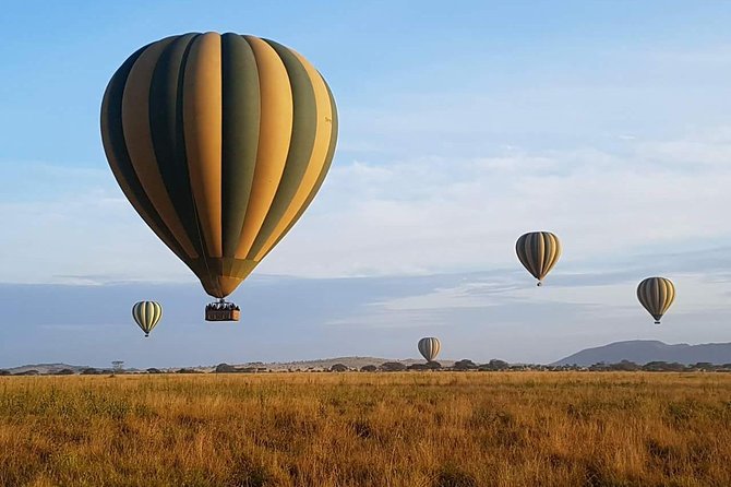 5 Days African Safaris - Practical Details Before You Book