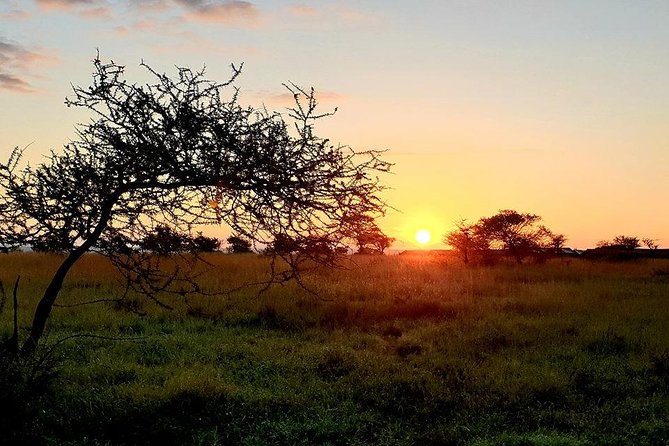 5 Days African Safaris - Who Should Book This Safari