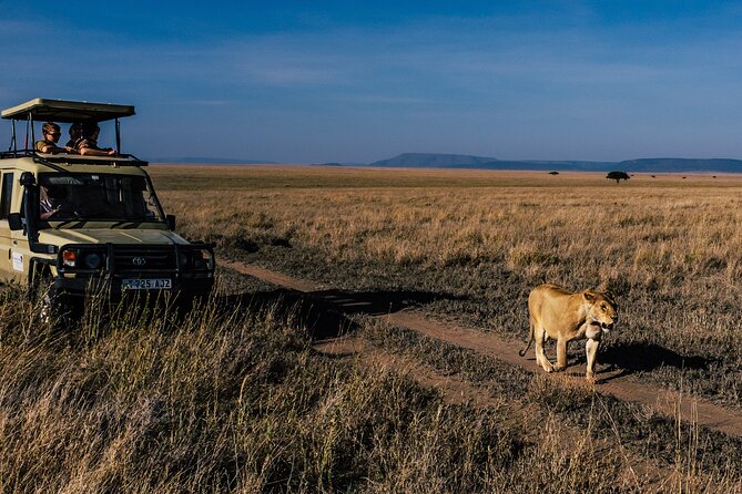 5 Days Budget Safari in Tanzania - What $1,200 buys you on this Tanzania route