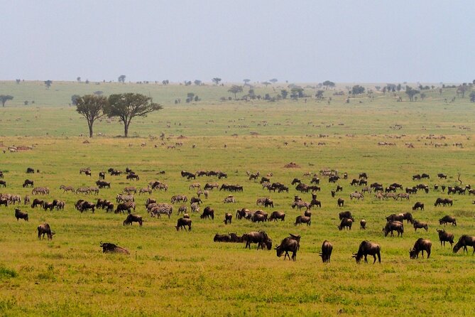 5 Days Budget Safari in Tanzania - Day 2: The long road to the Serengeti