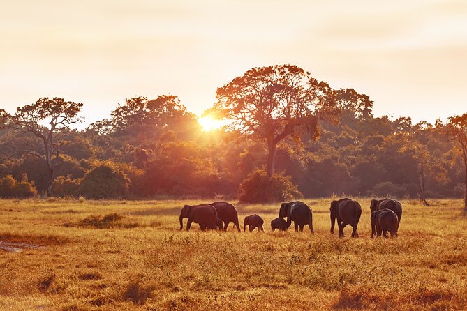 5 Days Budget Safari in Tanzania - Day 4: Ngorongoro Crater and the black rhino possibility