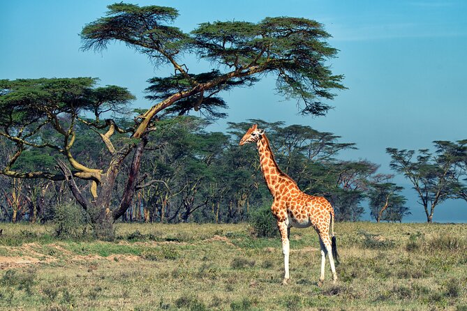 5 Days Budget Safari in Tanzania - What the daily pace feels like
