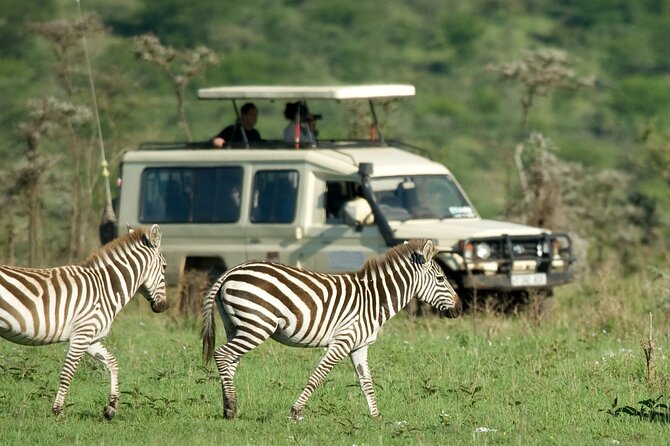 5 Days Budget Safari in Tanzania - Day 1: Tarangire’s elephants and baobab trees