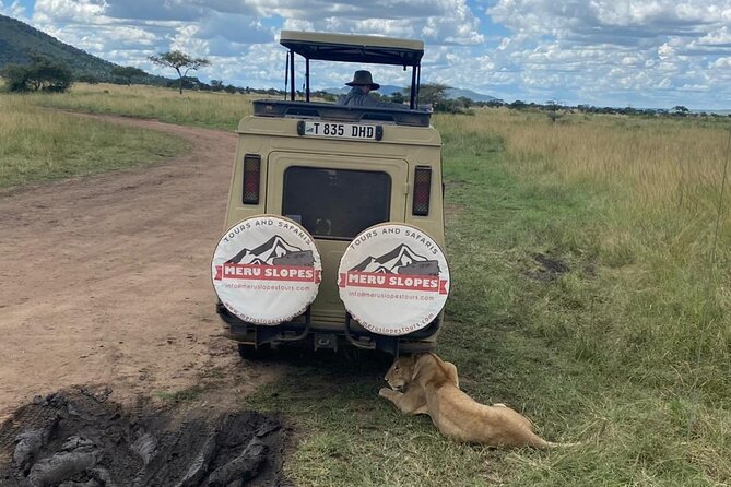 5 Days Camping Tarangire, Serengeti & Ngorongoro crater & Visiting Maasai - Day 5: Into Ngorongoro Crater