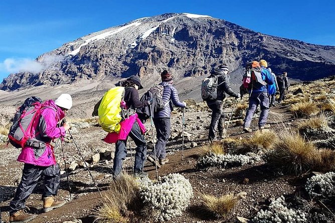 5 Days cheapest Kilimanjaro Marangu Route - Key points to know before booking